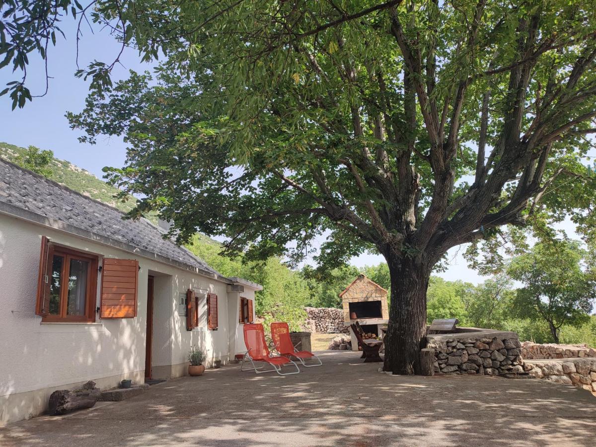 Holiday Home Lucija "" Private House With Pool "" Ябланац Екстериор снимка
